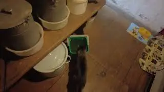 В печке тоже можно приготовить еду