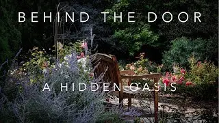 A Hidden Oasis