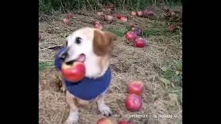 АХАХАХАХАХАХА ЭТО Я СДЕЛАЛА