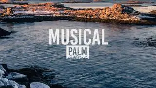 DJ Vianu - Driving Me Crazy (SYDE Remix)