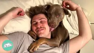 Dog Chooses Dad Over Mom. She Doesn't Mind | Cuddle Buddies