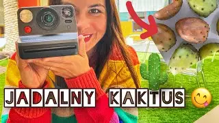 TENERYFA - VLOG #1 - SANTA CRUZ kupiliśmy jadalnego kaktusa!