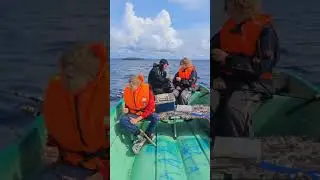 Самая дружная команда на рыбалке #анири #рыбалка #ловимрыбу