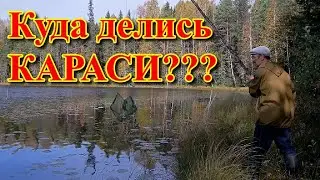 КУДА ДЕЛСЯ КАРАСЬ?