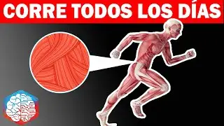 ¿Qué Le Pasa a Tu Cuerpo Si Corres 10 Minutos Al Día? l Benéficos de Correr todos los días