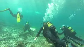 BAUTIZO BUCEO PATRI 2014