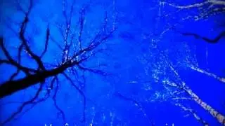 Você pode curar a sua vida enquanto dorme - Louise Hay