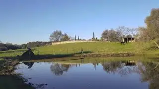 Azolla harvesting video, 1hour and 5 minutes