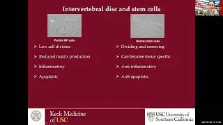 Stem Cells and Growth Factors for Disc Regeneration - Clinical Evidence