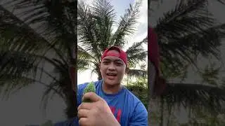 CONTANT MAKAN PERIA MENTAH 5 BIJI TIK TOK BY AHMADRIDZUAN7489