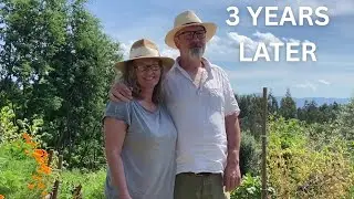 We Built an Abundant Sustainable Garden TIMELAPSE