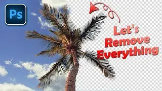 Erase Tree Backgrounds in Photoshop Fast