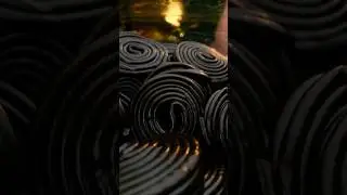 Ежегодное видео в поддержку клуба любителей лакрицы 