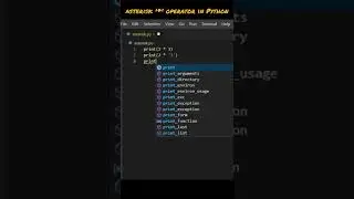 Asterisk Operator in Python 