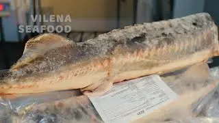 «Белуга Vilena Seafood (ООО НПФК Вилена), Pak Samar (Пак Самар)»