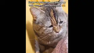 вся боль в этом видео 😢😭😭😭😭