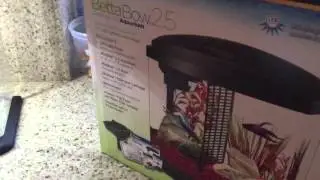How to setup a planted Betta tank in 30mins