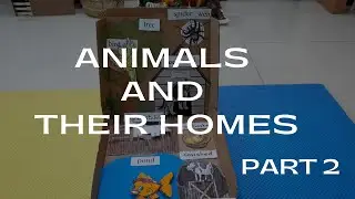 Animals and their Homes (Part 2) | Toddlers Learning Activities #learningwithnafisa #grannyandbaby