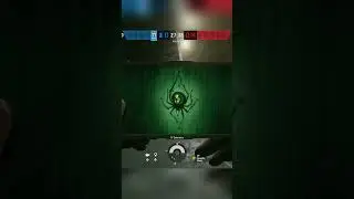 Border valkyrie spots 