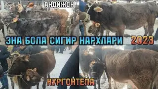 АНДИЖОН КУРГОНТЕПА МОЛ БОЗОР ЭНА БОЛА СИГИР НАРХЛАРИ 2023 январ