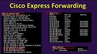 Cisco Expres Forwarding Demo Lab - CCNA | CCNP  Study