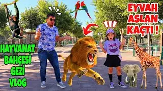 ELİF HAYVANAT BAHÇESİNDE ASLAN KAÇMIŞ !! EYVAH ÇIKIŞI BULAMADIK !!