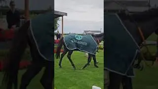 What a fantastic day of racing at The Curragh Racecourse for FBD Hotels & Resorts Saturday Series!