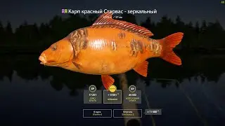 Где поймать старварса? Часть 1 на северные ягоды и смородину