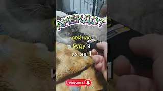 😊АНЕКДОТ😉Убери свой комбайн.