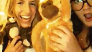 Pictures with Us and the Monkeys.