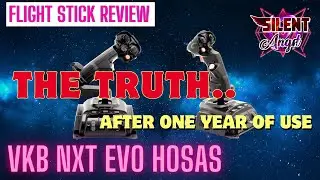 VKB NXT HOSAS Flight Sticks: The Ultimate 1 Year User Experience!