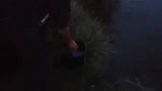 Відновлення водойм Запоріжжя триває 😉🇺🇦🇺🇦🇺🇦 , +7 диких сазанчиків