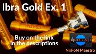 IBRA GOLD Exercise 1 with Nicola Ferro