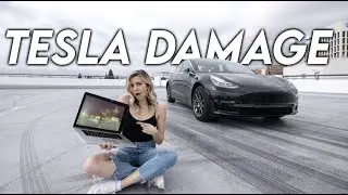Someone Hit My Tesla & I Caught It On Camera