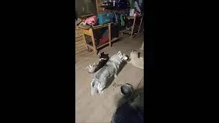 Моем 