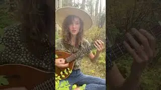 Moonshine Hill 