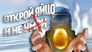 Открой яйцо и не умри | Раздал ресурсы в РАСТ/RUST