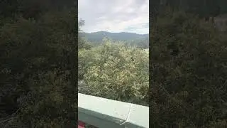 Clearing Lake view #mountains #treeclimber #husqvarna #stihl #arborist #fall #california #tree