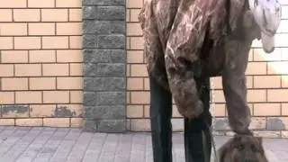 MOV005