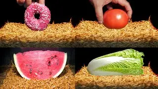 Time Lapse: 10 000 Mealworms vs Top 6 Foods