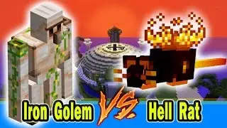 Minecraft ARENA BATTLE - Iron Golem vs Hell Rat