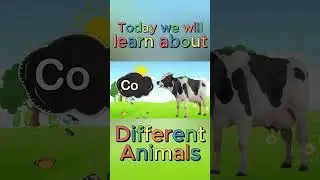 Learn Animals Name For Kids | Animals Names In English | Animals For Kids