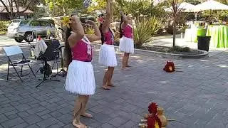 Polynesian Dancers - Island Breeze Entertainment