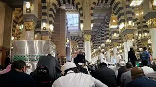 Madina | Saudi Arabia