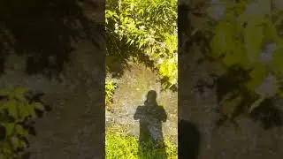 Саратовской области село Гремячка,на родники,плачущая стена