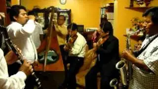 orquesta Selección Andina.MOV
