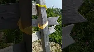 Гора Фалаза / Вершина / Лето 2024