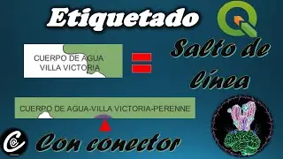 Etiquetas con varios campos en QGIS