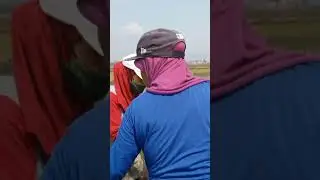 ini nandur bibit ibu.2ny