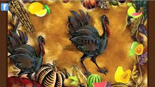 Turkey farm house escape Video Walkthrough